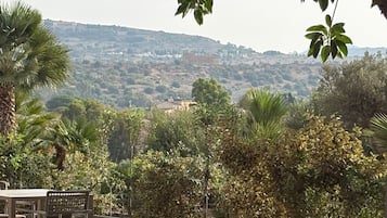 Un espacio de comedor al aire libre con mesas y sillas, rodeado de vegetación y vistas a un paisaje montañoso.