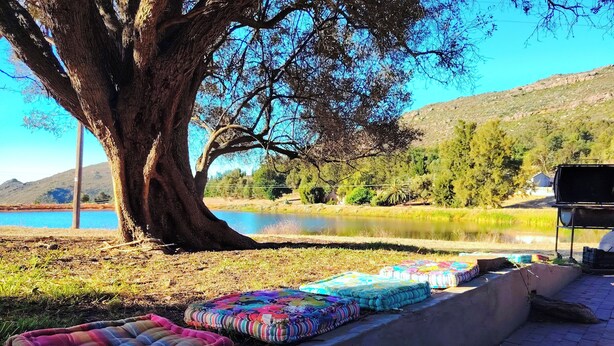 A tree-lined lakeside area with a barbecue grill and colorful cushions on a concrete ledge. - Off-grid Cottage Mountain Views Horses & Sunset (Bergrivier)
