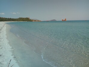 Una playa cerca
