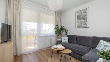 Fernseher, Arbeitsbereiche