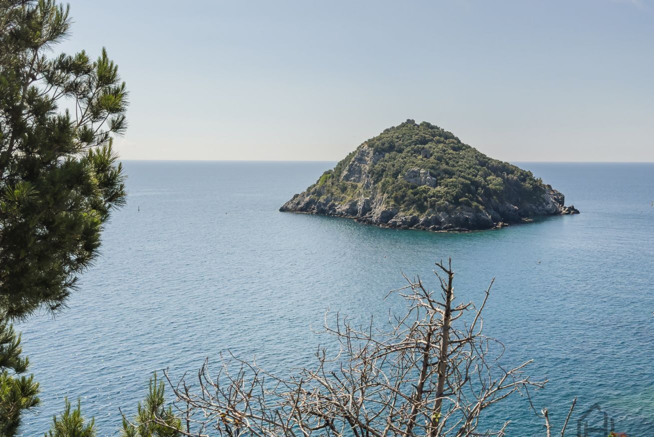 Una pequeña isla con vegetación exuberante y una vista despejada del mar tranquilo circundante.