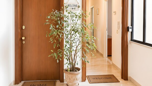 Un couloir avec deux portes en bois, une plante en pot et des paillassons.
