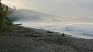 Una playa con costa rocosa, agua tranquila y una línea de árboles en la distancia.