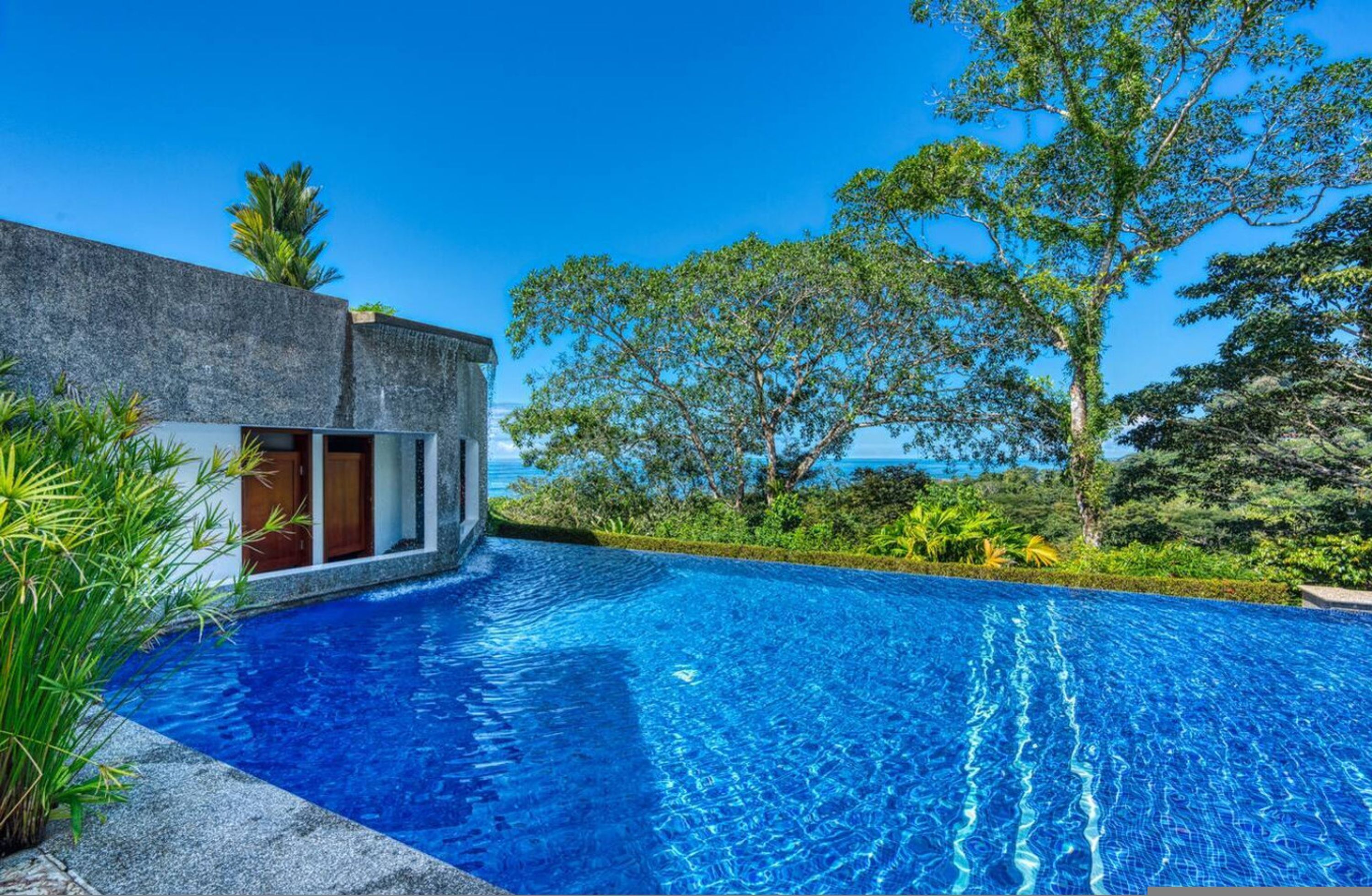 Un bâtiment moderne doté d’une piscine, entouré d’une végétation luxuriante et d’arbres.