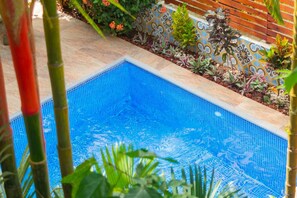 Ein rechteckiger Pool mit klarem, blauem Wasser, umgeben von einer gefliesten Umrandung und verschiedenen Pflanzen.