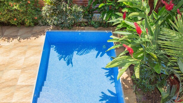 Et rektangulært swimmingpool med flisekant, omgivet af en træterrasse og forskellige planter.