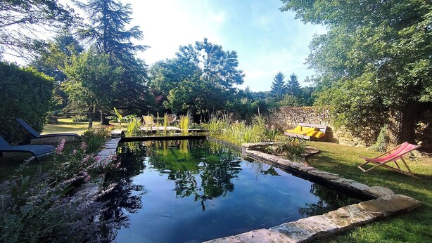 A serene outdoor pool area with a stone border, surrounded by lush greenery and trees.