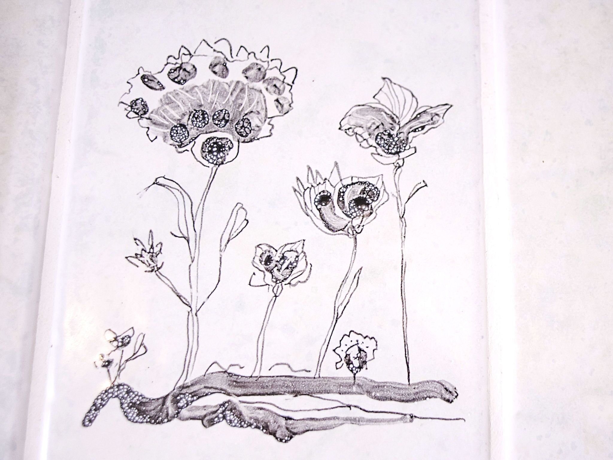 Una ilustración botánica de diversas flores y plantas.