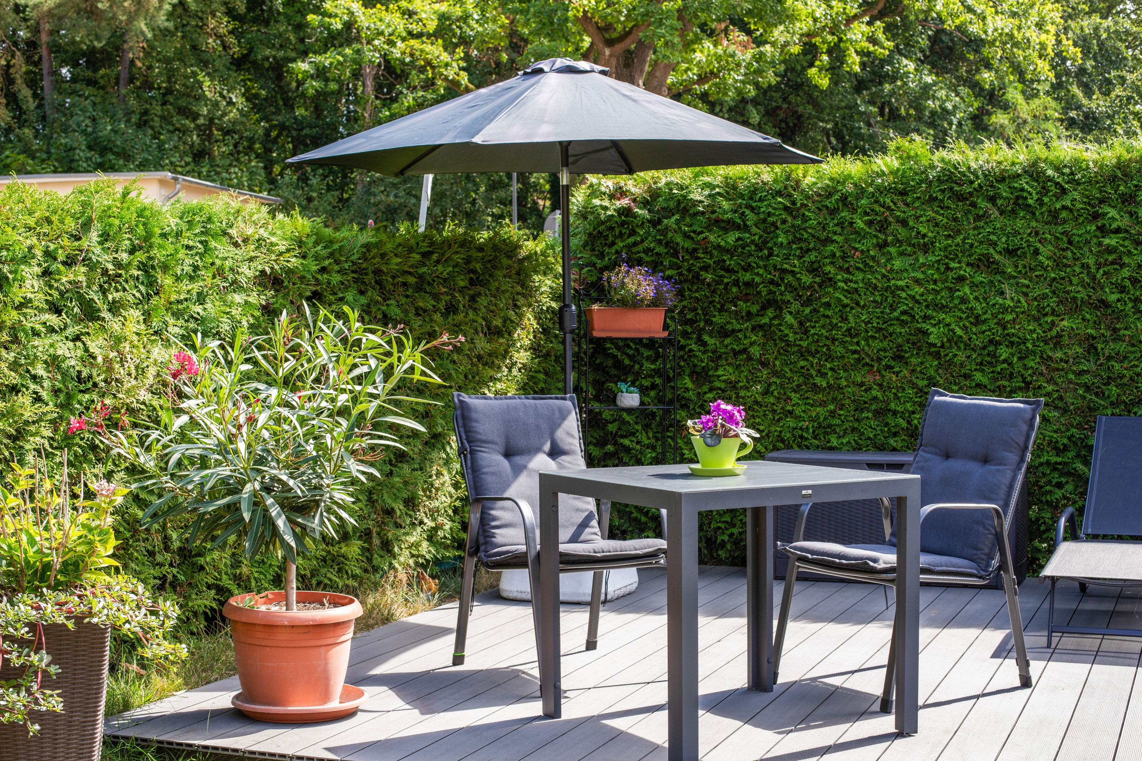 Een terras buiten met een tafel en stoelen, omringd door groen en een haag.