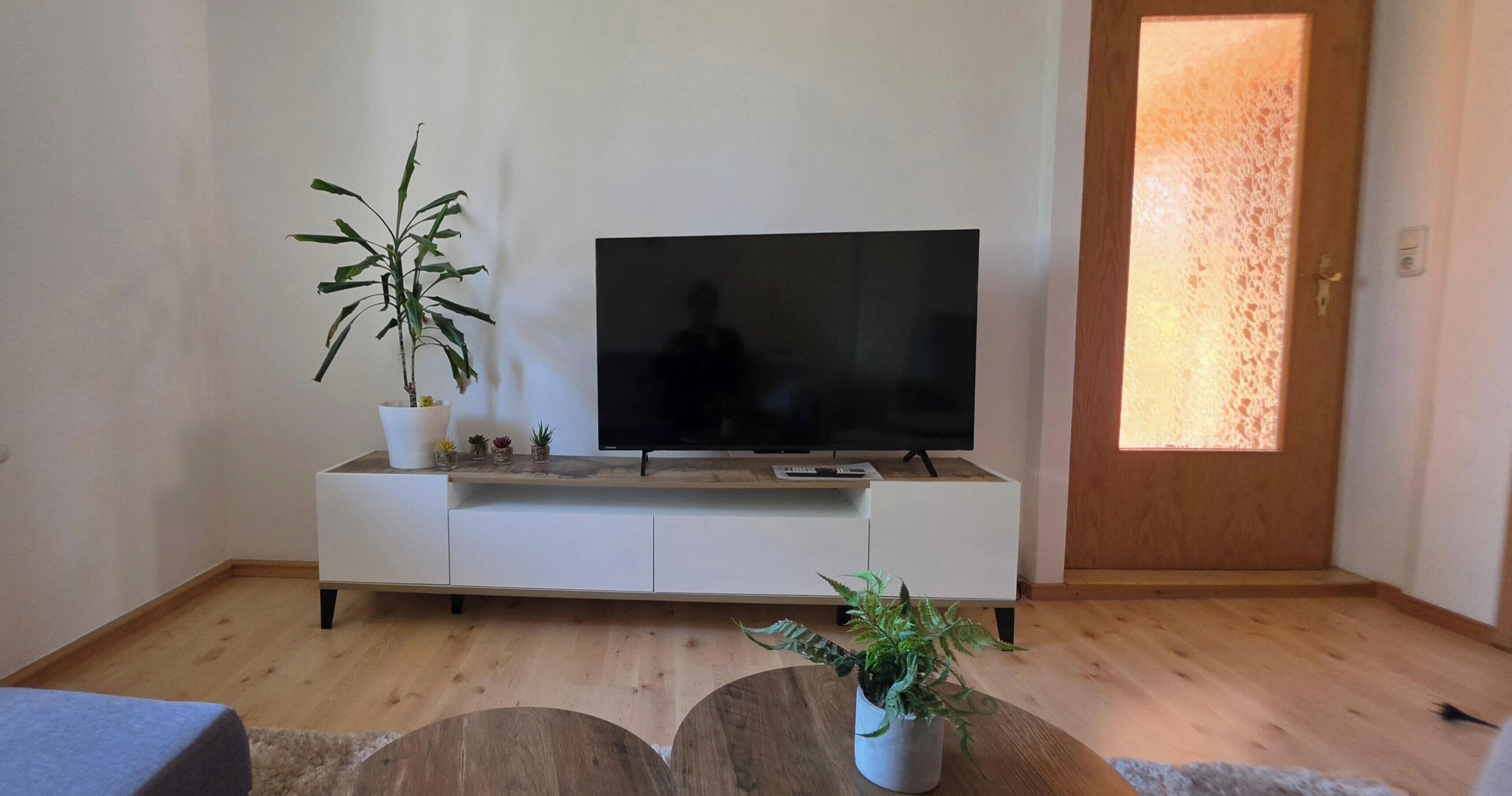 Fernseher