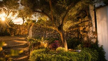 A stone wall, a tree, and a potted plant in a garden setting.