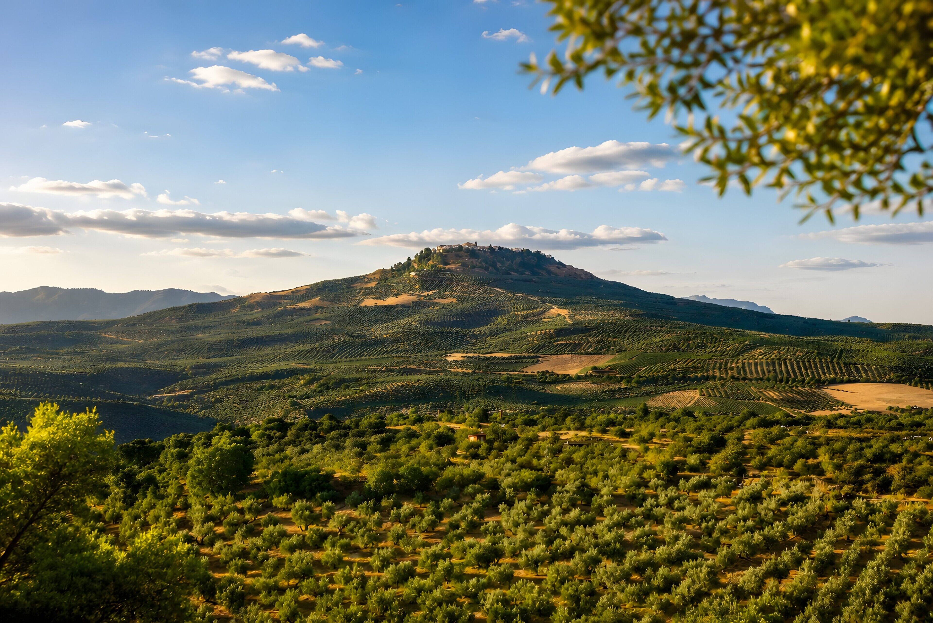 Un paysage montagneux avec des champs en terrasses et un ciel dégagé.