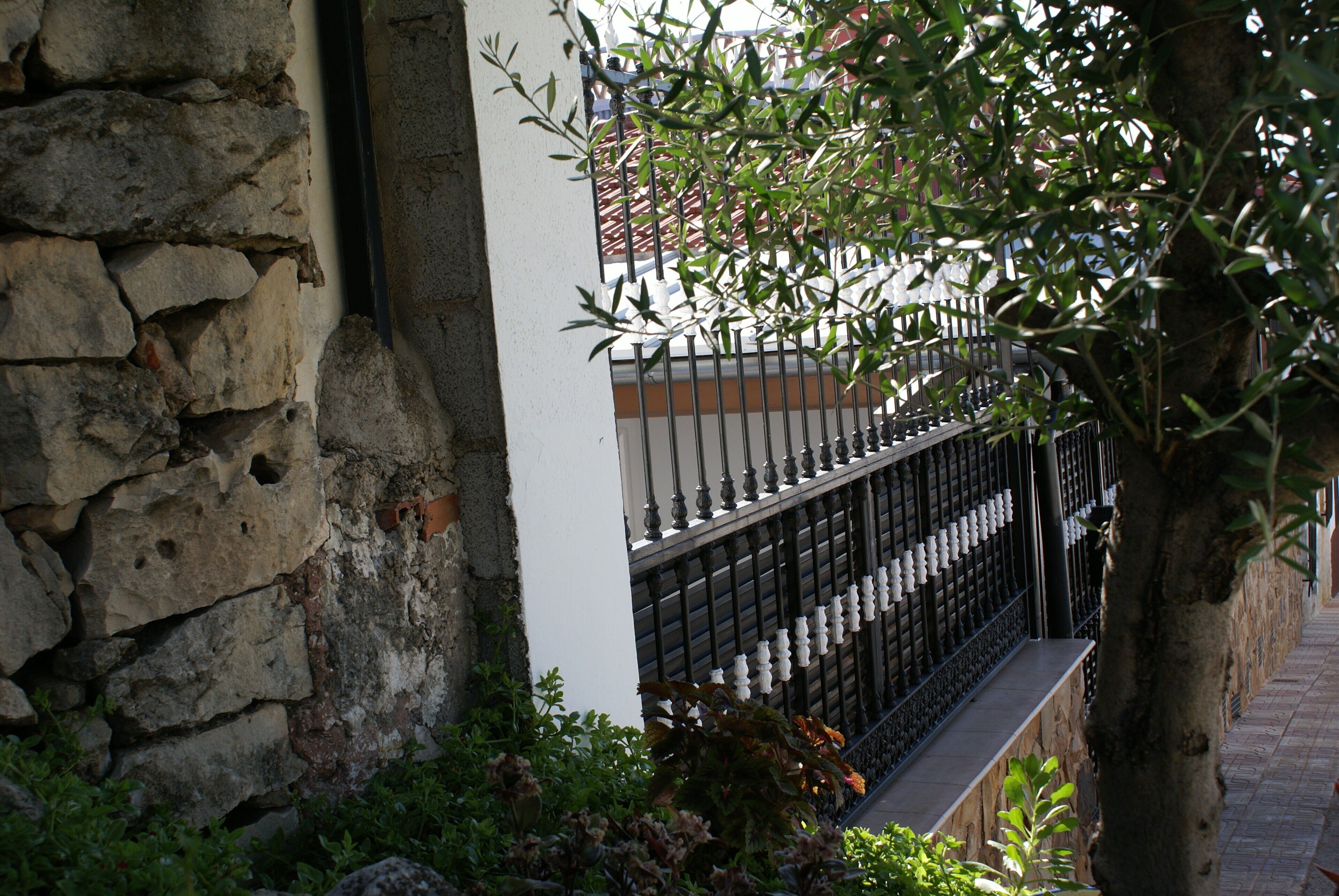 A stone wall, a metal fence, and a tree.