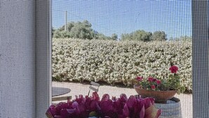 Ein Fenster mit Blick auf einen Garten und einem Blumentopf mit Blumen.