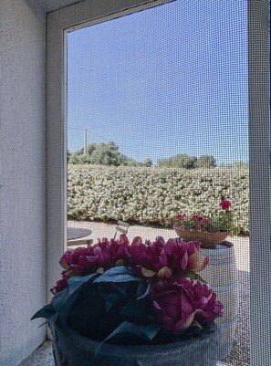 A window with a view of a garden and a potted plant with flowers. - Al CasAle - Villa in Porto Rotondo (Olbia)