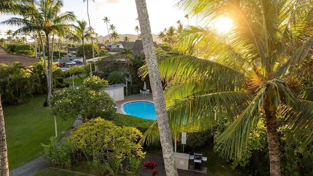 Quartiere residenziale con piscina circondata da palme e vegetazione.