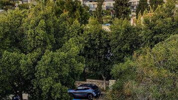 Ein Parkplatz mit mehreren Autos, umgeben von Bäumen und Gebäuden im Hintergrund.