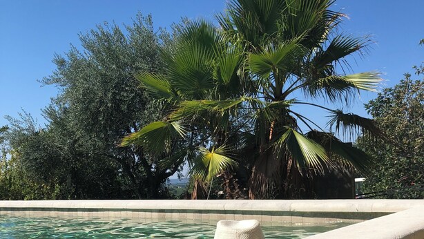 Piscina limpida con un cappello sul bordo, circondata da alberi e un cielo sereno.