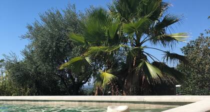 Authentic, spacious Provencal mas in the middle of nature!