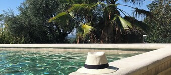 Authentic, spacious Provencal mas in the middle of nature!