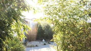 Comfort Apartment | Property grounds