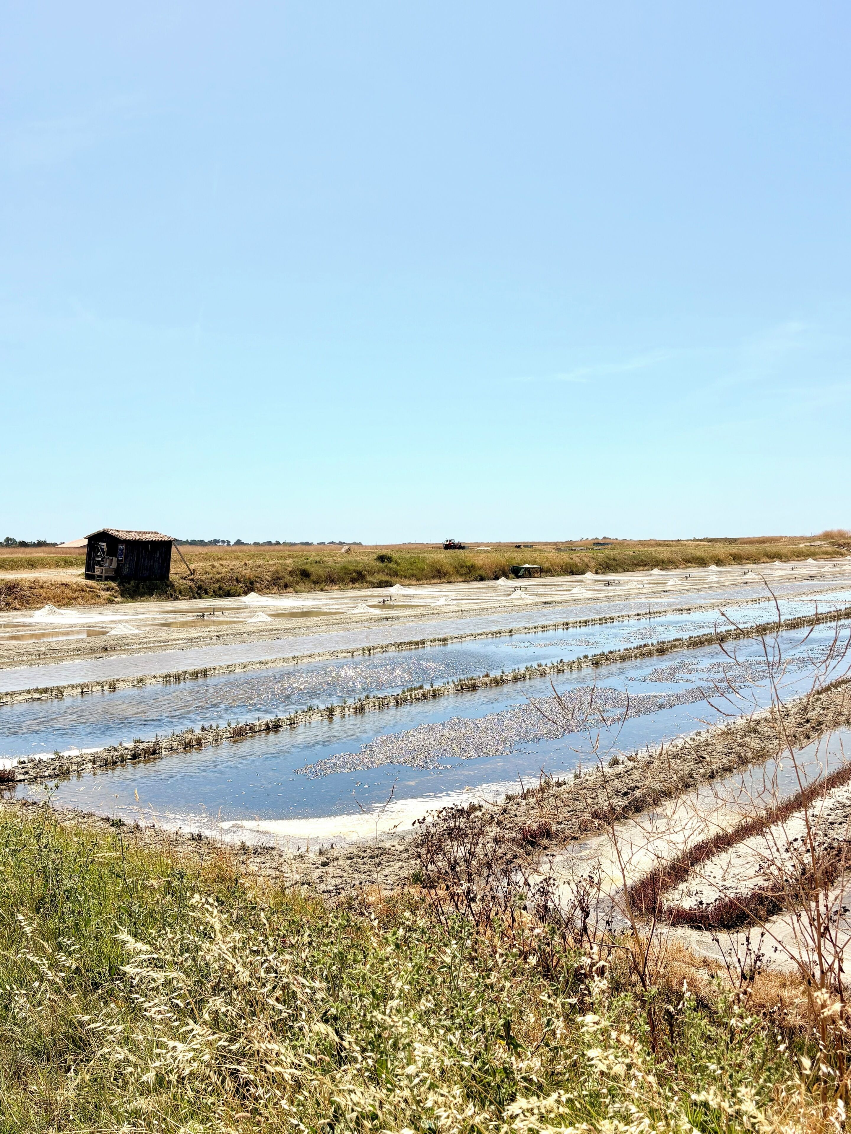 A rural landscape with salt flats and a small building.