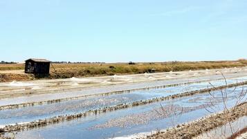 A rural landscape with salt flats and a small building.