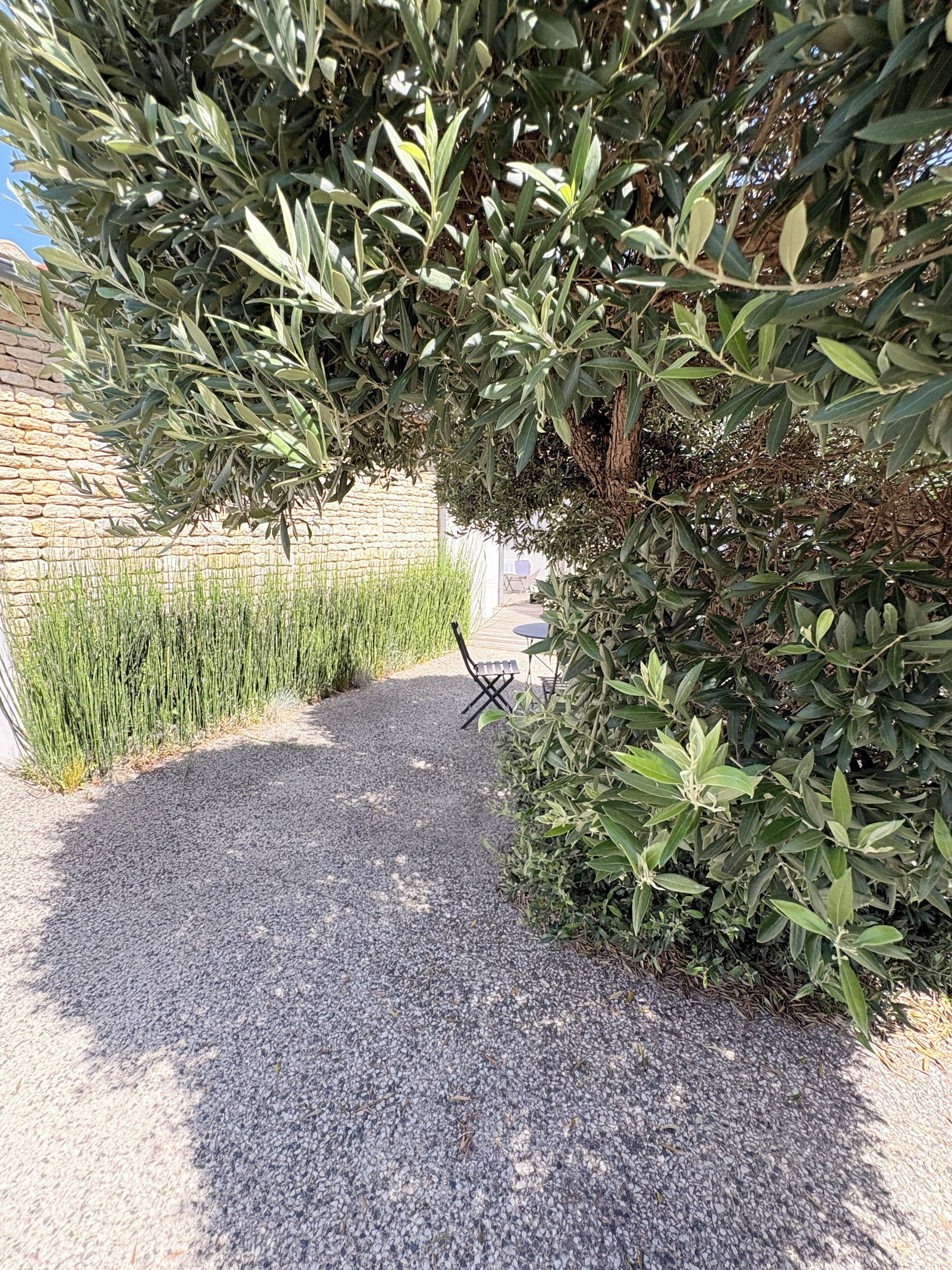 A gravel path leading to a seating area with a stone wall and greenery on one side.