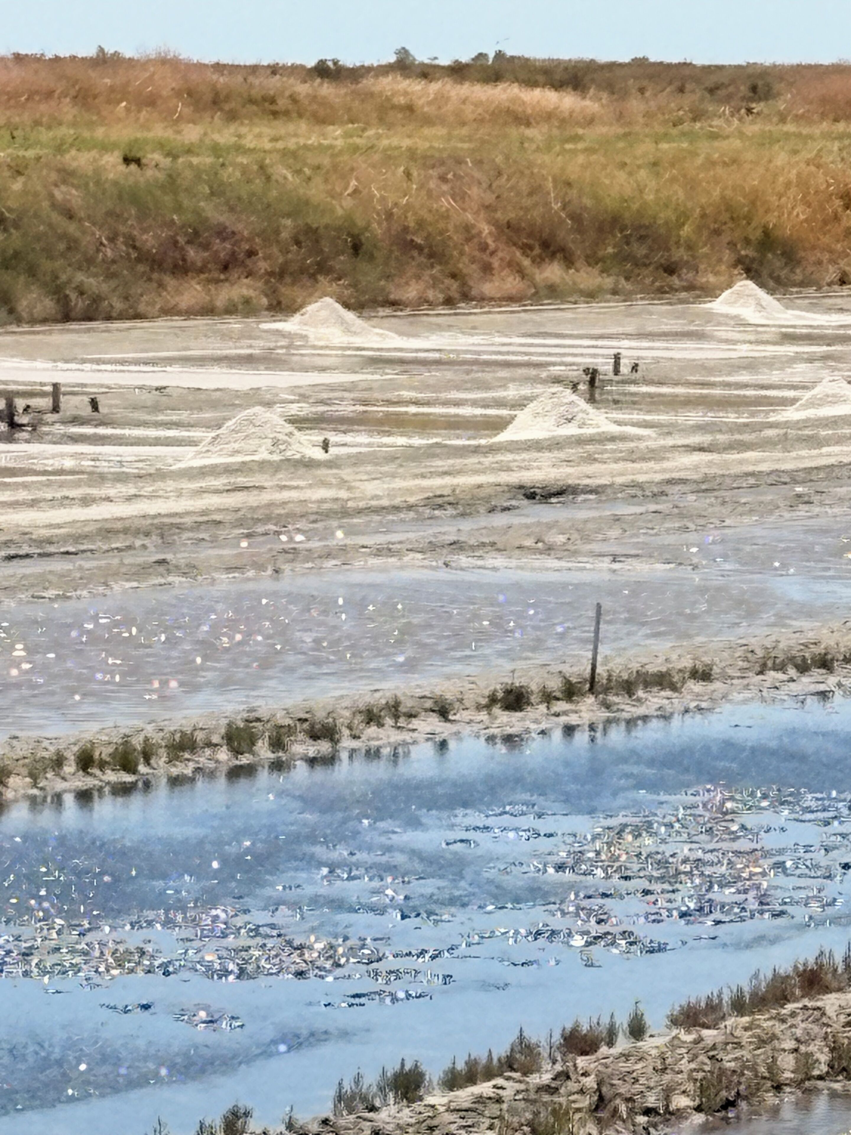 A salt flat landscape with mineral deposits and sparse vegetation.