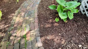 Ein Pflasterweg führt zu einem Gartenbereich mit Mulch und Pflanzen.