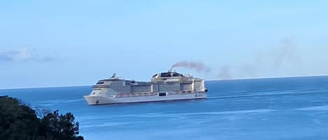A large cruise ship with multiple decks and a visible smokestack emitting smoke, sailing on a calm sea.
