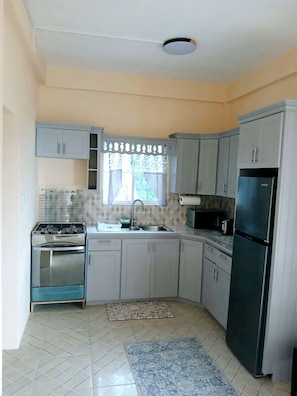 A kitchen with a gas stove, oven, sink, and a refrigerator. - Fully furnished 2-bedroom apartment with AC in Saint George (Saint George)
