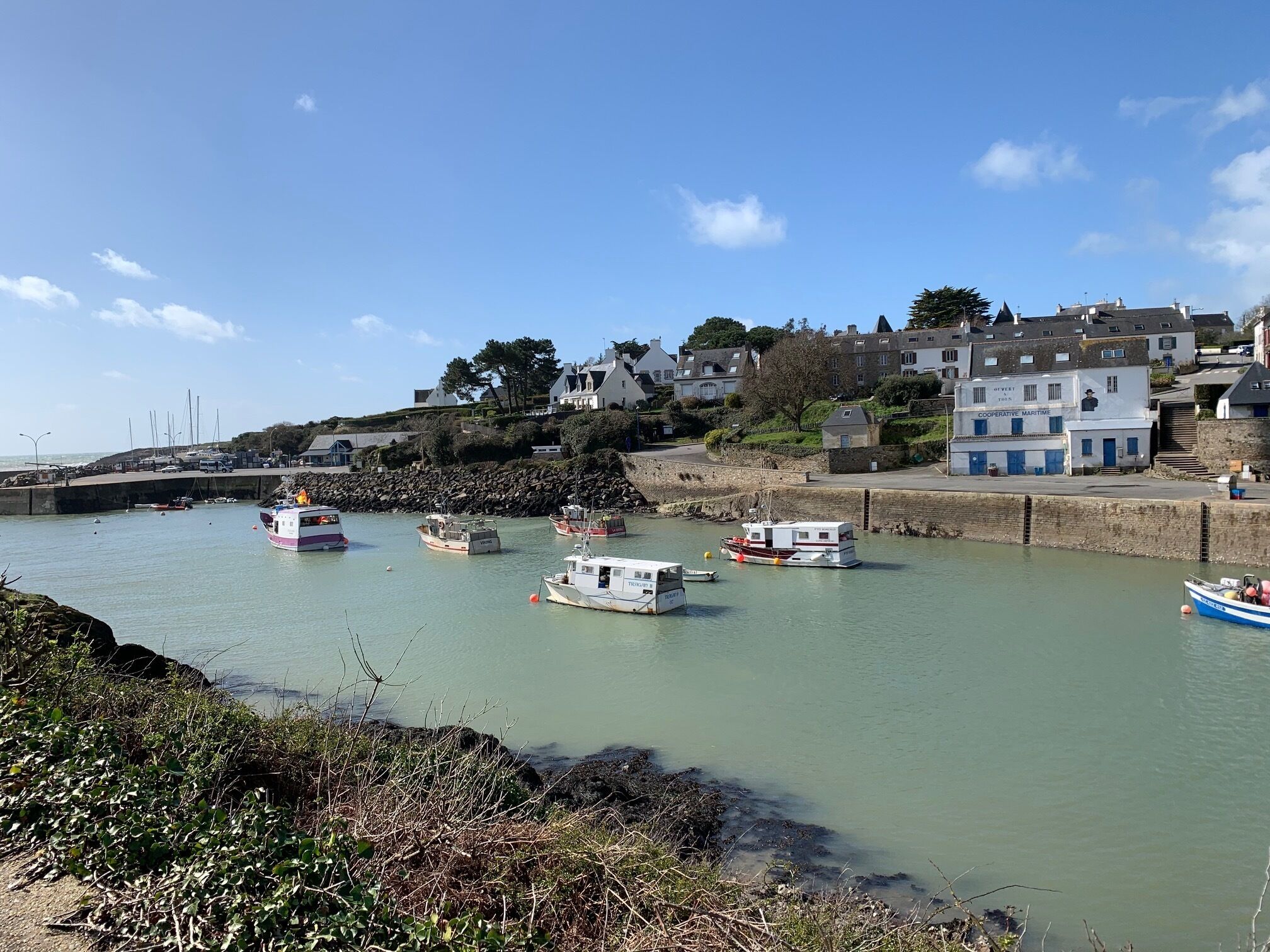 Jachthaven