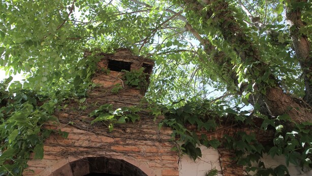 Um edifício de tijolos com uma grande entrada em arco, rodeado por folhagem densa.