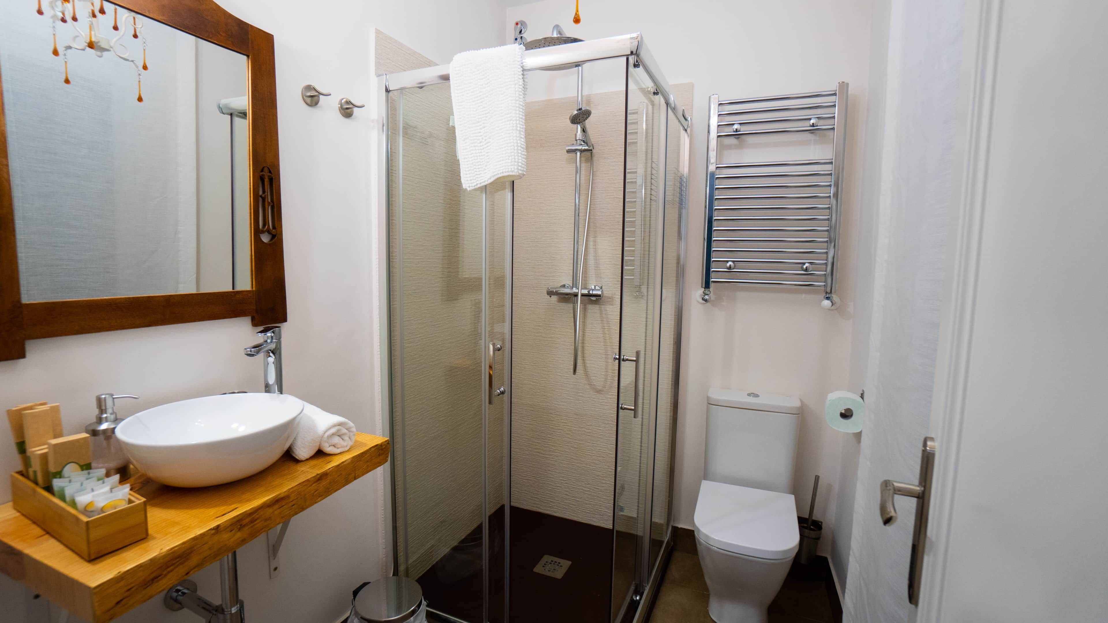 A bathroom with a sink, mirror, shower, and toilet.
