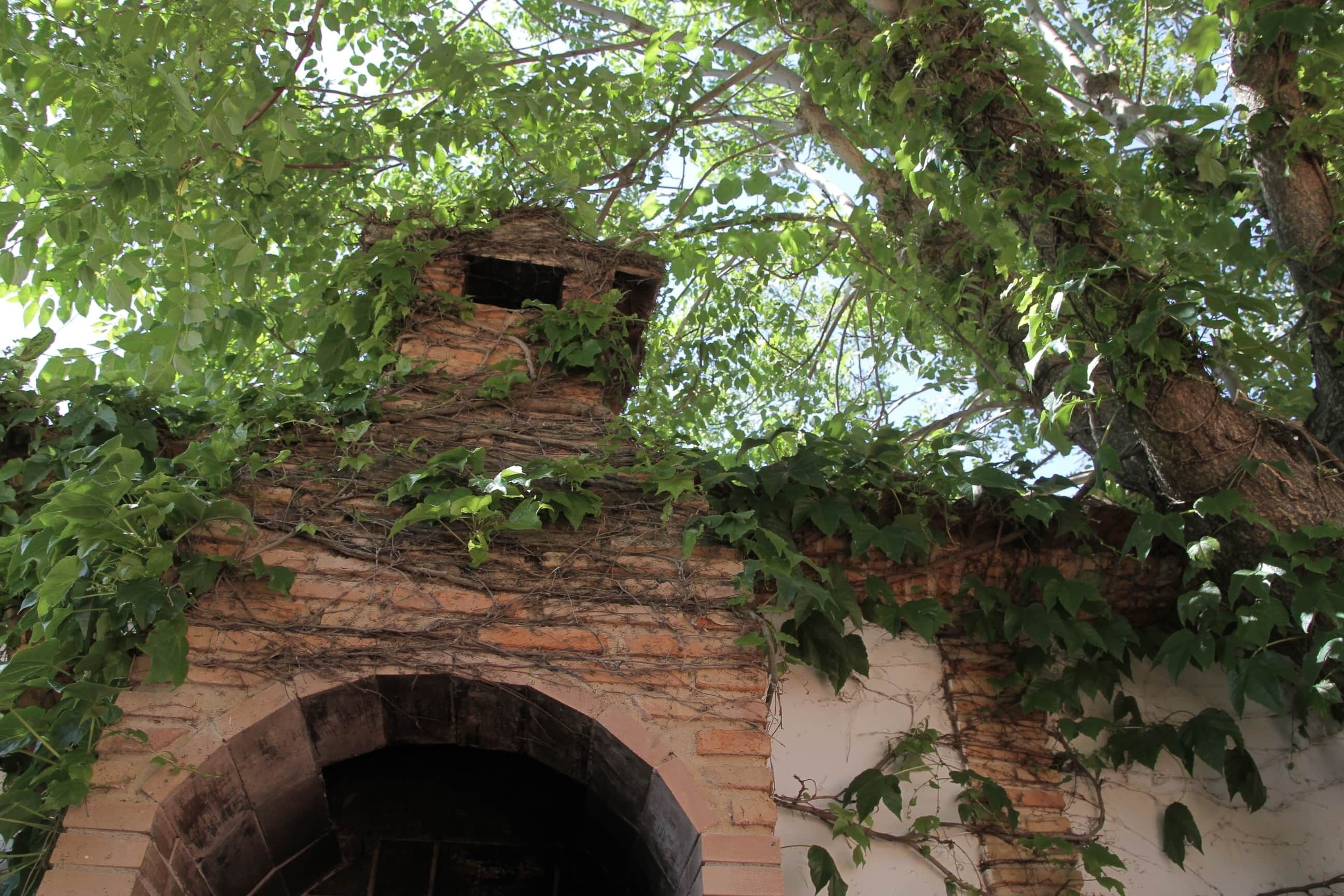 Edifici de maó amb un gran arc d'entrada, envoltat de vegetació densa.