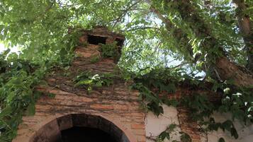 Edifici de maó amb un gran arc d'entrada, envoltat de vegetació densa.
