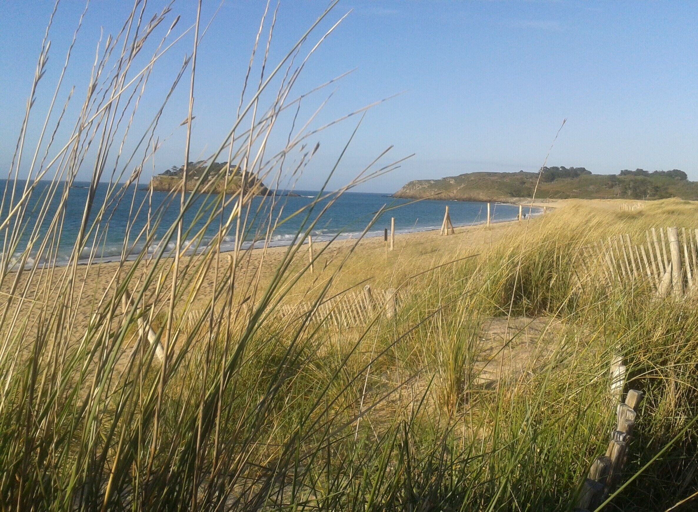Eine Küstenlandschaft mit grasbewachsenen Dünen, einem Sandstrand und freiem Blick auf das Meer.