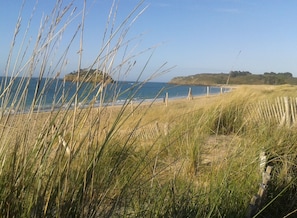 Paisatge costaner amb dunes herboses, una platja sorrenca i una vista clara del mar.