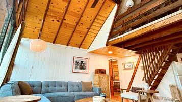TV connectée, cheminée, livres