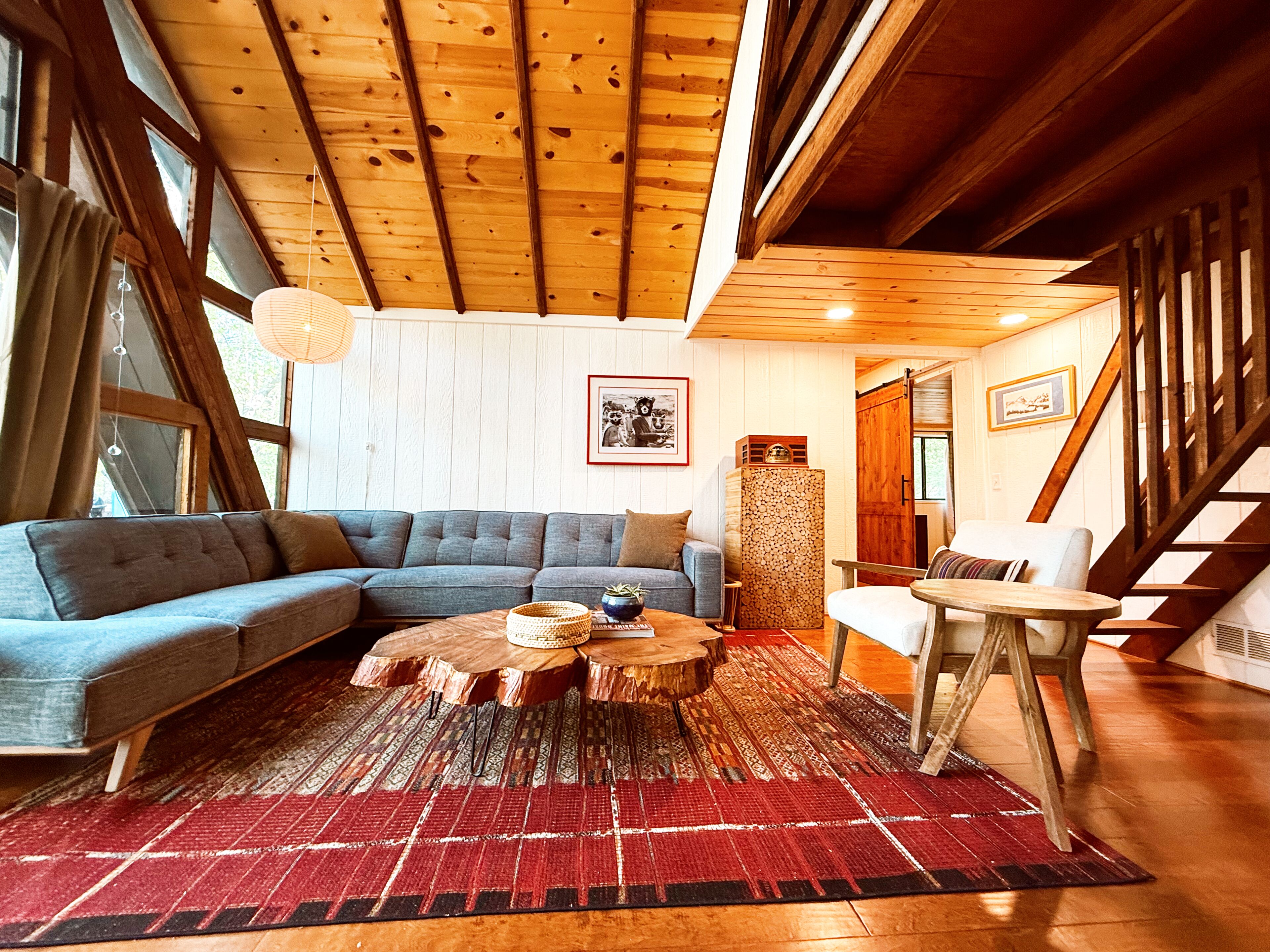 TV connectée, cheminée, livres