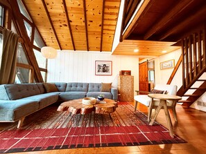 TV connectée, cheminée, livres