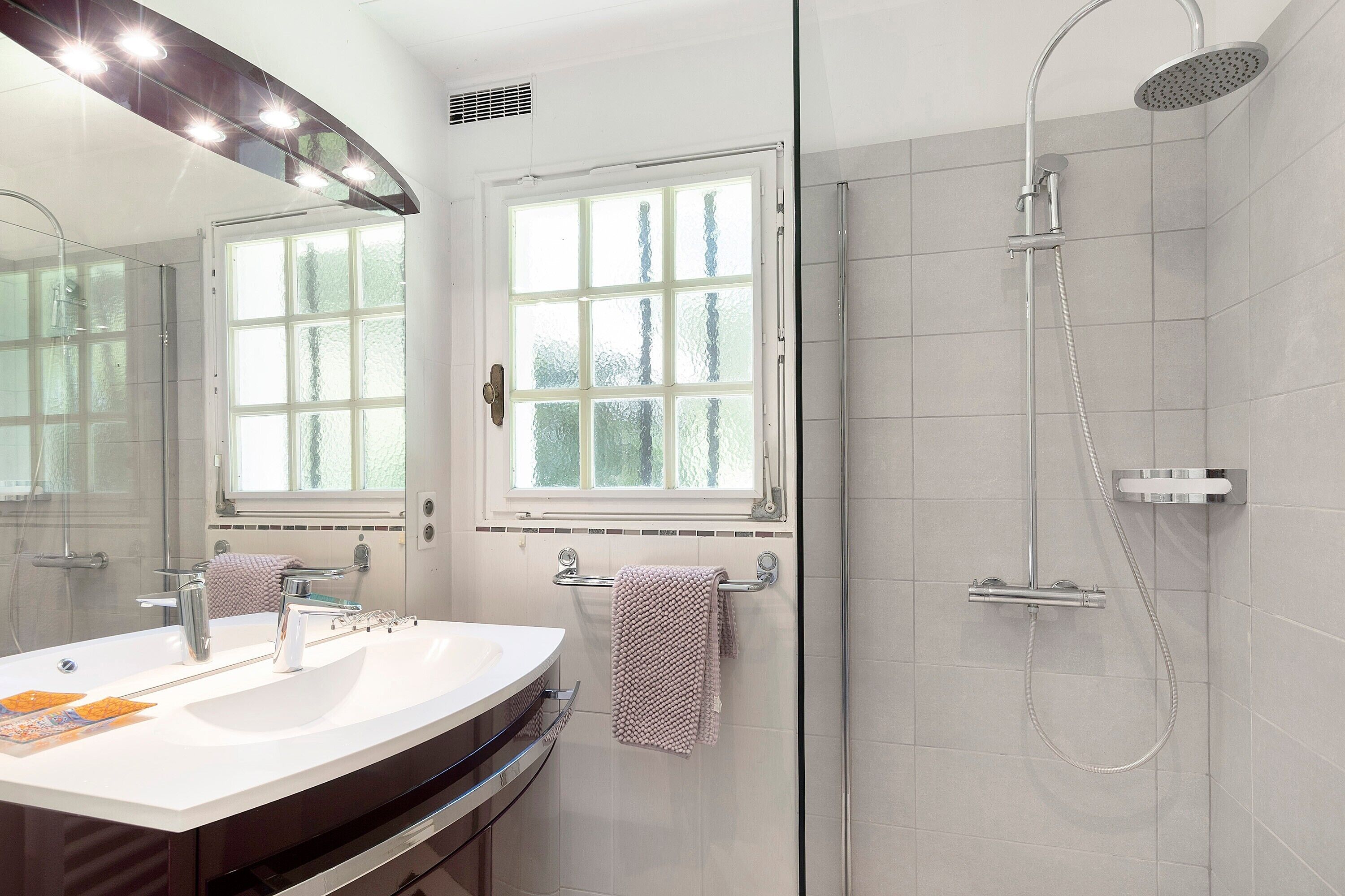 Shower, hair dryer, towels