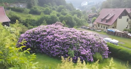 Apartment „Birkenhain“ mit Bergblick, privater Terrasse und WLAN