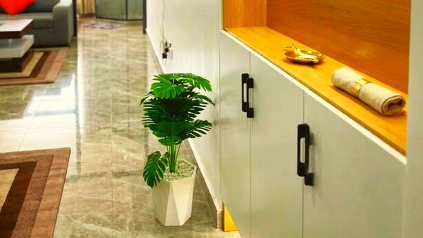 Un salon moderne comprenant un canapé, une table basse, une plante en pot et une étagère intégrée en bois sur laquelle sont posées une paire de lunettes de soleil.