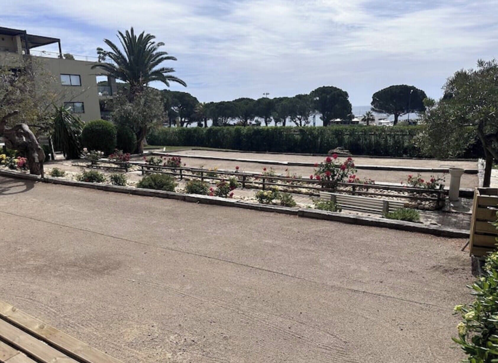Uma área pavimentada com bancos, uma palmeira e um edifício ao fundo.