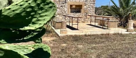 A stone building with a fireplace, surrounded by dry grass and a cactus.