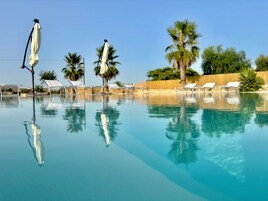 Una piscina cristalina con sillas de descanso y sombrillas, rodeada de palmeras y una valla de madera.