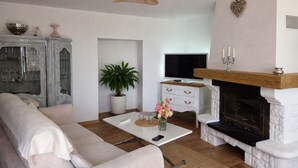 Ein Wohnzimmer mit einer Couch, einem Couchtisch, einem Fernseher, einem Kamin und einer Zierpflanze.