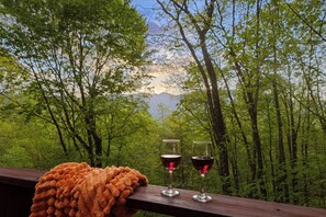 Property grounds - Secluded Smoky Mountain Cabin, Firepit and Views (Bryson City)